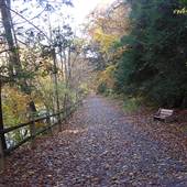 Forbidden Drive