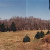Harold Bohlman Field