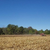 Buckingham Farmland