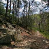 Wissahickon Gorge