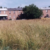 82nd Street and Grover's Lot