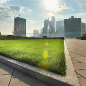 Cira Green