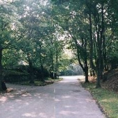 Sherman Avenue