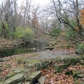 Norristown Farm Park