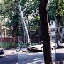 7th Street between Lombard & South Street