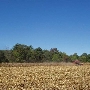 Buckingham Farmland