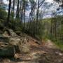 Wissahickon Gorge