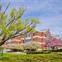 La Salle University