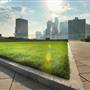 Cira Green