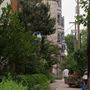 45th and Pine Street