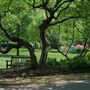 Azalea Garden