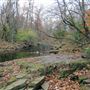 Norristown Farm Park