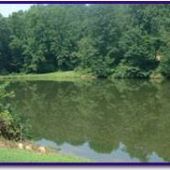 Camp Saginaw