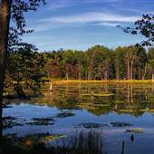 Woodbourne Forest Preserve