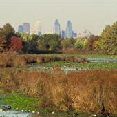 John Heinz National Wildlife Refuge