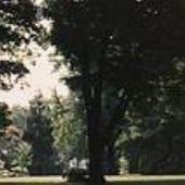 Merion Tribute House