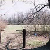Potter's Field