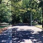5th St (betw Spruce and Prospect)