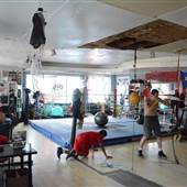 Warrior Boxing