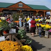 Linvilla Orchards