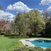 Penn Valley Tudor - Back Yard