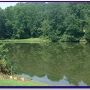Camp Saginaw