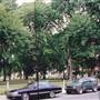 52nd & Pine St.