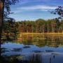 Woodbourne Forest Preserve