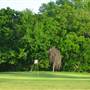 Karakung Golf Course