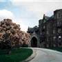 Spring Garden College