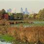 John Heinz National Wildlife Refuge