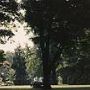 Merion Tribute House