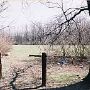 Potter's Field