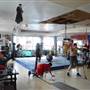 Warrior Boxing