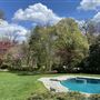 Penn Valley Tudor - Back Yard