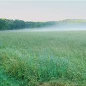 Crow's Nest Preserve