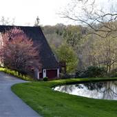 The Mill House