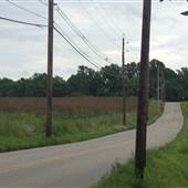 Terwood Road between Creek and Papermill Roads
