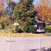 Wyndmoor