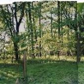 Pennypack Trail