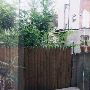 904 S. Darien