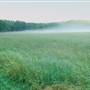Crow's Nest Preserve