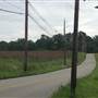 Terwood Road between Creek and Papermill Roads