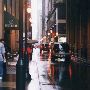Juniper St (Btwn City Hall and Chestnut)