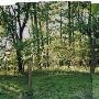 Pennypack Trail