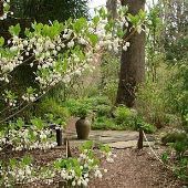 Chanticleer Gardens