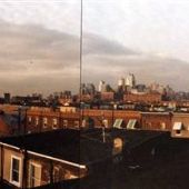 Rooftops from 1410-1418 S. Darien Street
