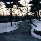 Lemon Hill Dr