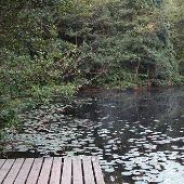Nolde Forest/Environmental Educational Center