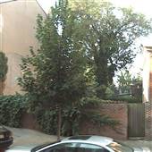 317 S. 11th Street